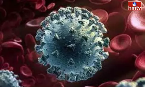 Corona for Two Children in Niloufer Hospital