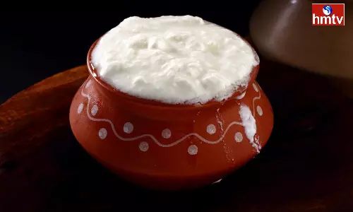 Can you Eat Curd in Winter? What will happen if you Eat it?