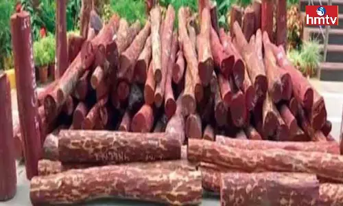 1.5Crore Worth Red Sandalwood Seized In Medchal 1.5Crore Worth Red Sandalwood Seized In Medchal