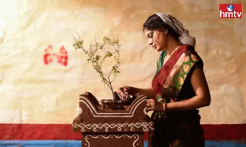 According To Astrology Do This Puja To The Tulsi Tree You Will Get Wealth