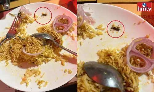 Cockroach in Biryani at Jubilee Hills Restaurant