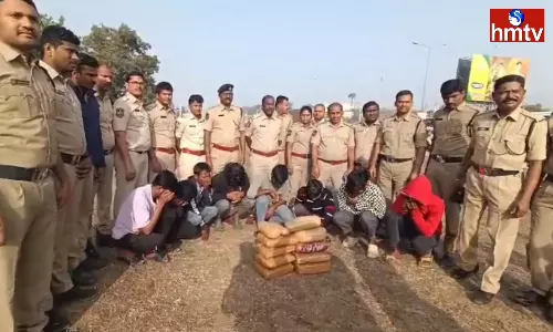 Huge Ganja Seized In Bus