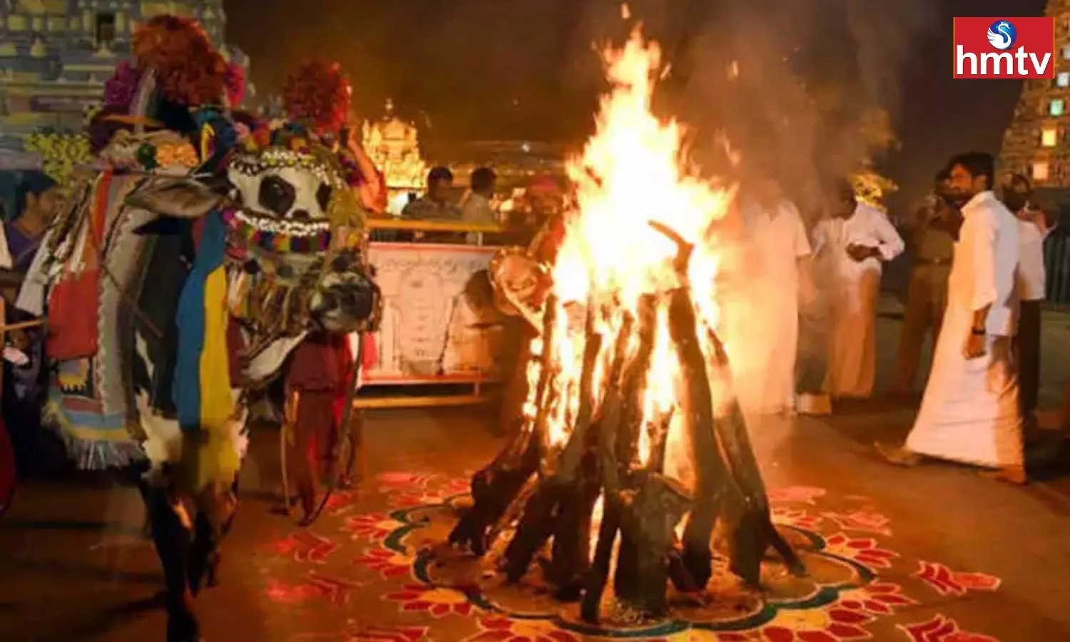 Bhogi Celebrations In AP And TS Bhogi Celebrations In AP And TS