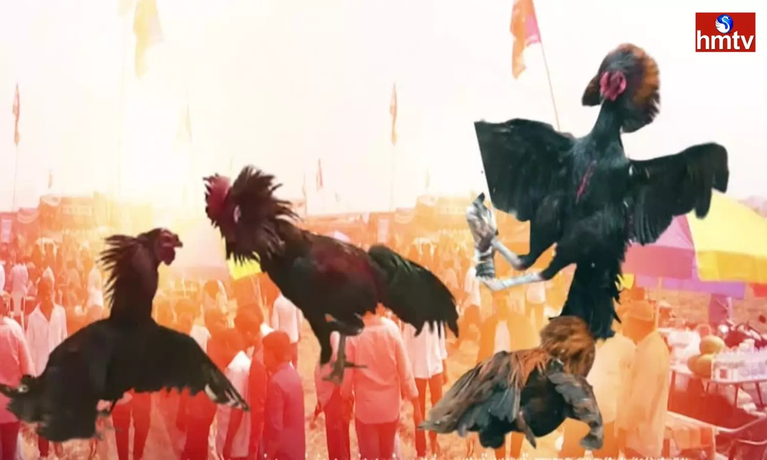 Cock Fight In Andhra Pradesh Sankranti Special Kodi Pandalu 2024