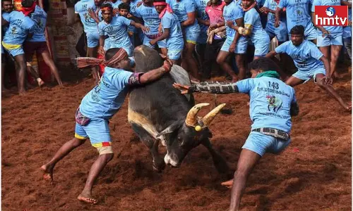 Jallikattu Competition Begins in Tamil Nadu