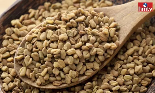 If You Use Fenugreek In Excess It Will Harm Your Health People With These Health Problems Should Avoid It If You Use Fenugreek In Excess It Will Harm Your Health People With These Health Problems Should Avoid It