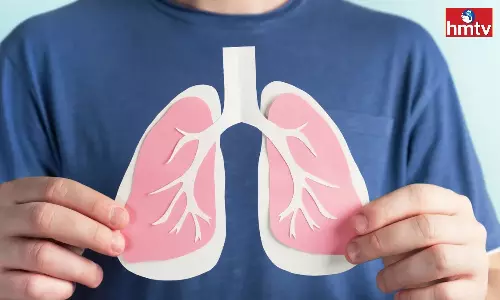 If You Want To Keep Your Lungs Healthy You Should Eat Them Often There Will Be No Problem