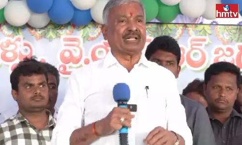 Pedda Reddy: ఎన్టీఆర్‌ను వెన్నుపోటు పొడిచి చంద్రబాబు అధికారంలోకి వచ్చారు