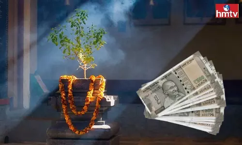 Doing These Things Every Morning Will Solve Money Problems