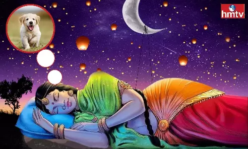 Find Out Whether A Dog Appeared In A Dream Is It Good Or Bad