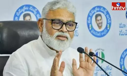Ambati Rambabu Comments On Sri Krishna Devarayalu
