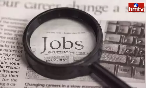 PNB Recruitment 2024 for BA Btech Mtech MCA Degree Holder check for all Details