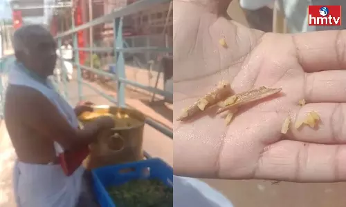 Srisailam A Piece Of Chicken In The Srisailam Prasadam Srisailam A Piece Of Chicken In The Srisailam Prasadam