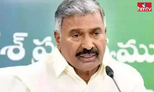 Peddireddi Comments On Chandrababu