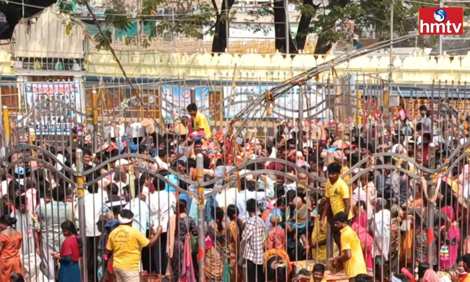 Devotees flock to Medaram Sammakka Sarakka Jatara