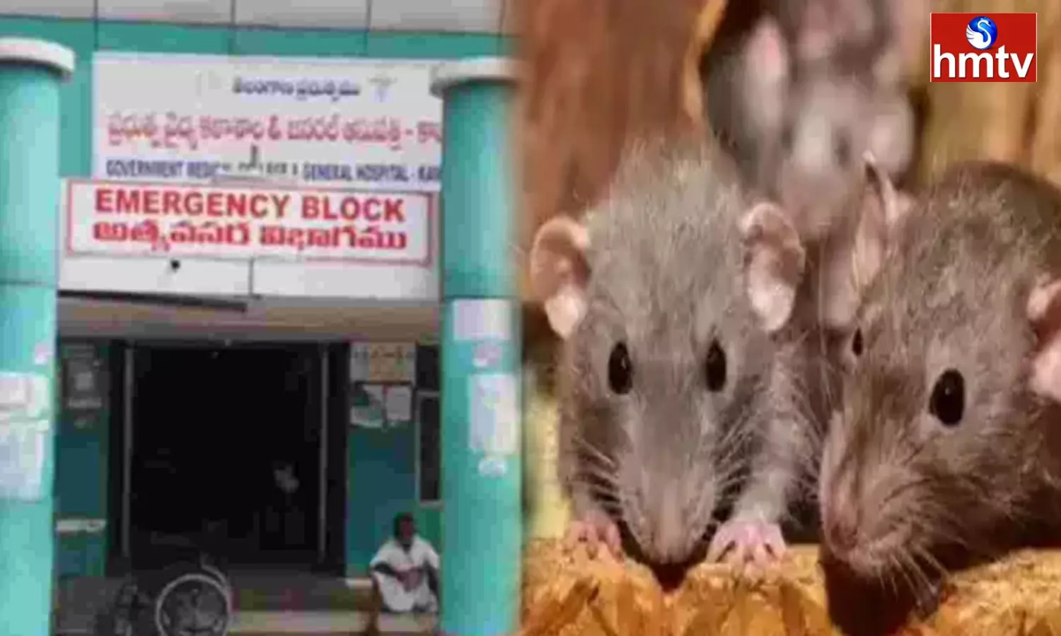 Two Doctors and a Nurse were suspended in the Kamareddy Incident