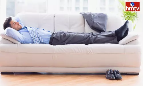 A Short Nap During The Day Makes You Smarter Than Others Surprising Things In The Study A Short Nap During The Day Makes You Smarter Than Others Surprising Things In The Study