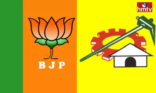 Pawan Kalyan And Chandrababu Waiting For A Call From BJP High Command