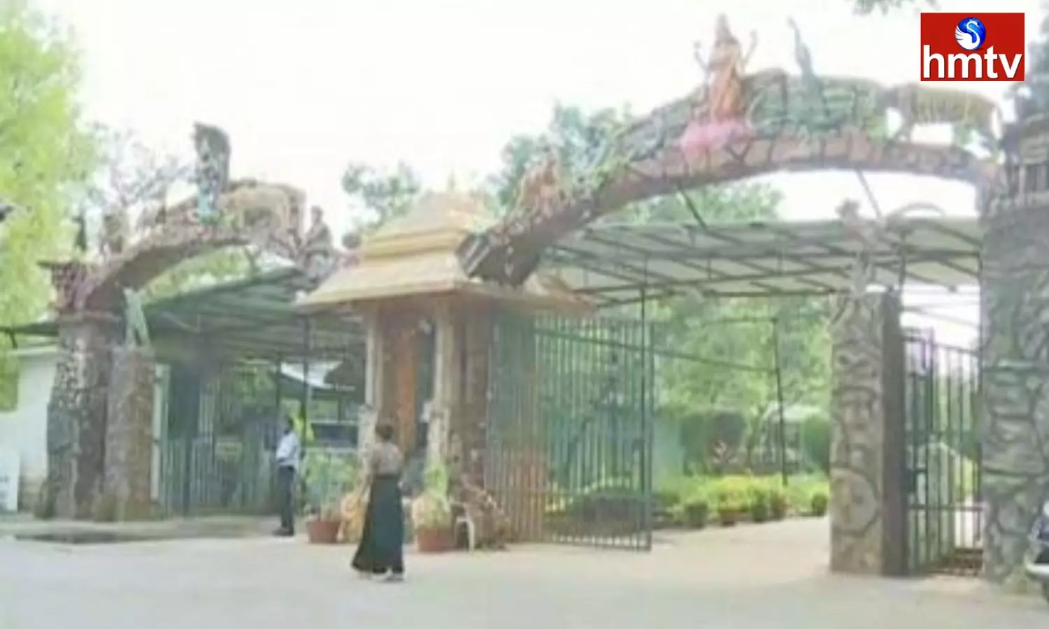 Lion Kills Man Tirupati Sri Venkateswara Zoological Park