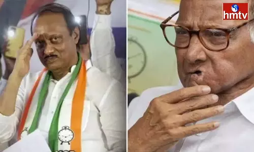 Maharashtra Speaker Rejects Pleas To Disqualify NCP MLAs Of Ajit Pawar Faction