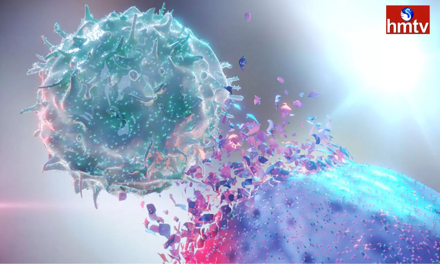 What Is Immunotherapy How Can It Cure Cancer