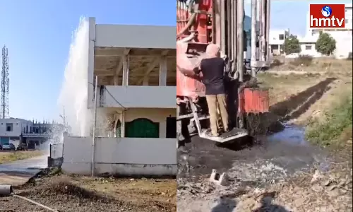 A Rare Incident in Adilabad District