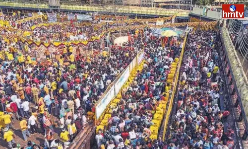 Medaram Jatara 2024 Updates