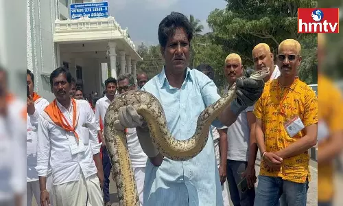 Python Scared Devotees on Tirumala Python Scared Devotees on Tirumala