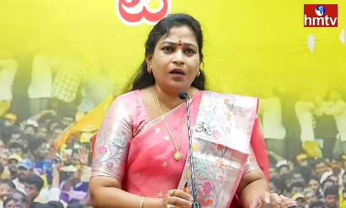 Anitha Comments On Gudivada Amarnath