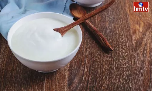 Are you Eating curd for Lunch Have you Ever Noticed these things