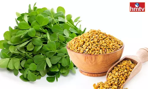 Fenugreek Is Rich In Ayurvedic Properties And These Benefits Are Beneficial For Women Fenugreek Is Rich In Ayurvedic Properties And These Benefits Are Beneficial For Women