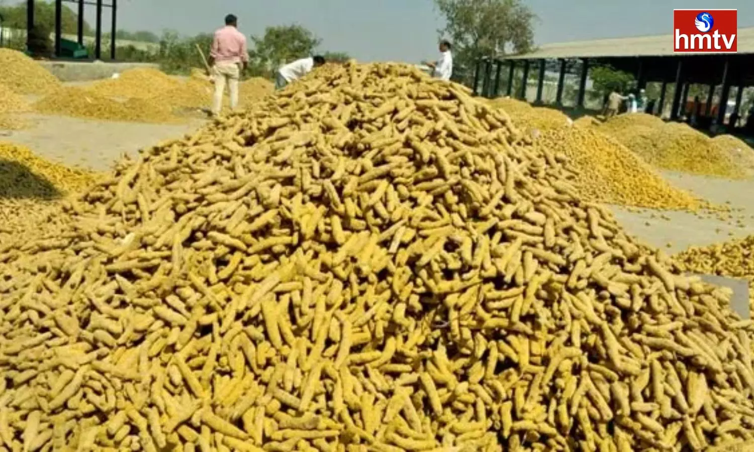 Record Price For Turmeric In Nizamabad Market Yard