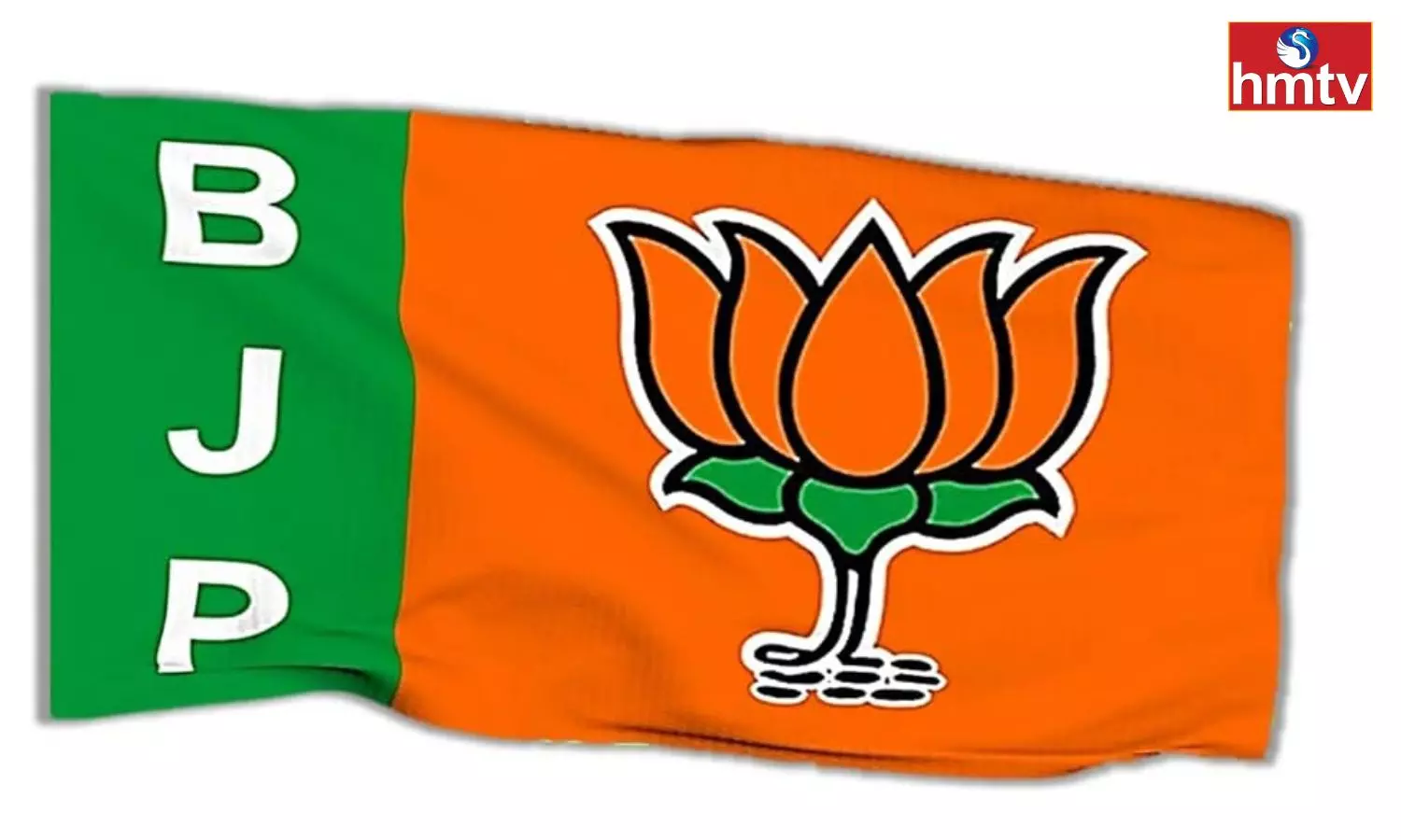 BJP Focus On Parliament Elections