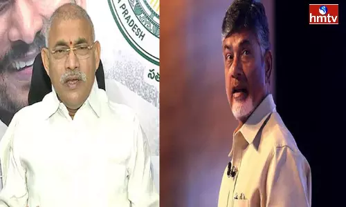 Chelluboina Venugopala Krishna Comments On Chandrababu