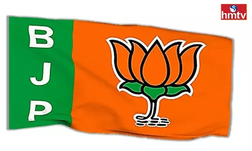BJP Focus On Parliament Elections BJP Focus On Parliament Elections
