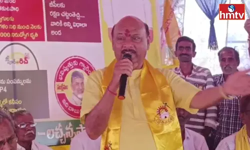 Former Minister Ayyanna Patra Interesting Comments On Volunteers Former Minister Ayyanna Patra Interesting Comments On Volunteers