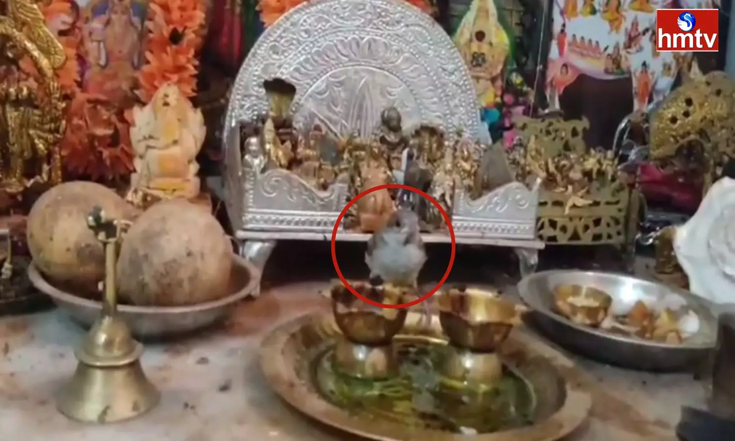 A strange Incident Happened In Dharmapuri On The Day Of Mahashivratri