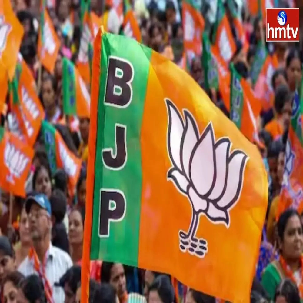 Ap BJP Candidates List In Next Two Days