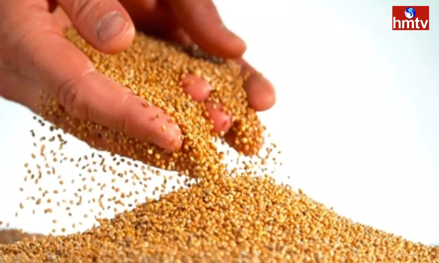 Increasing Production and Consumption of Millets Know the Reasons