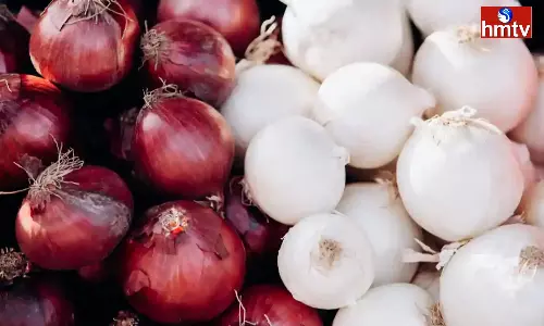 There are two types of Onion know Whether Red is Better or White is Better There are two types of Onion know Whether Red is Better or White is Better