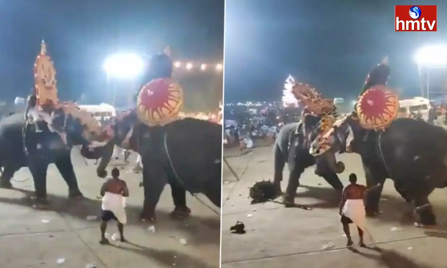 Elephant Fight in Temple Festival in Kerala