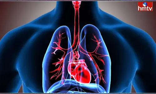 If these symptoms appear it is like the Lungs are in Danger It is Best to Consult a Doctor Immediately