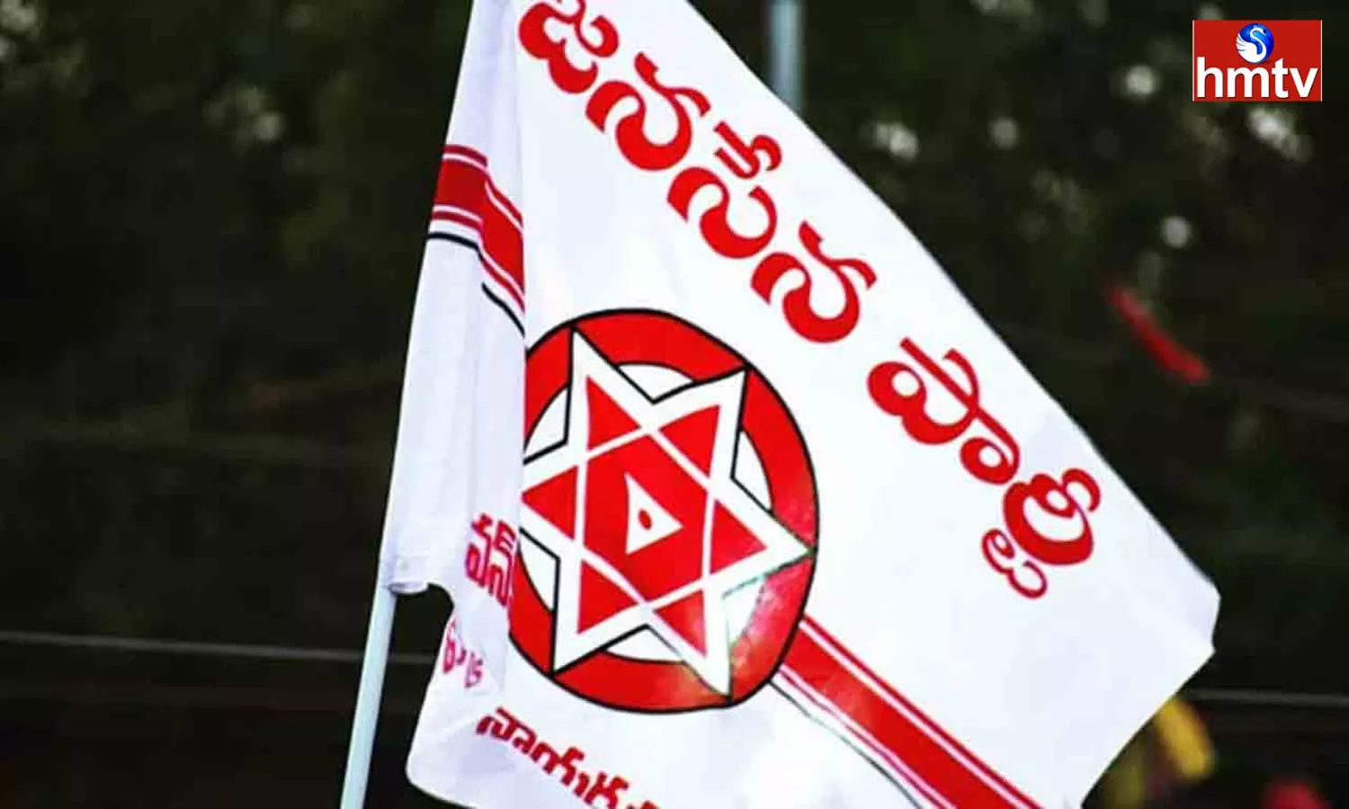Janasena Assembly And MP Candidate List Released