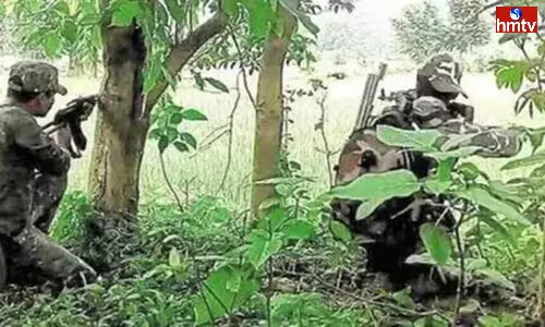 Encounter in Chhattisgarh Bijapur