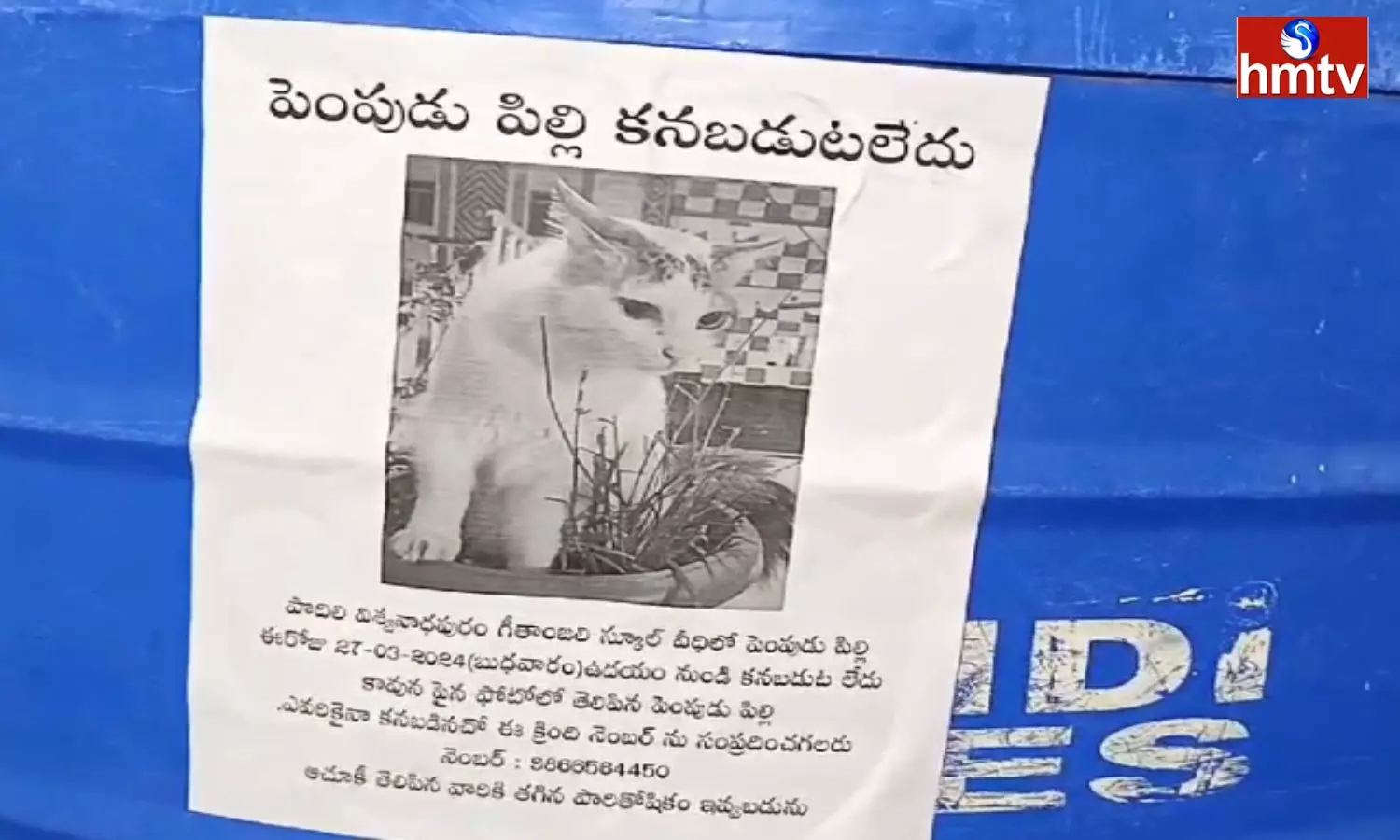 Wall Posters for cat Missing in Prakasam District