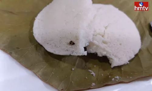 Cockroach in idli