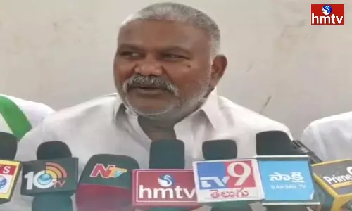 Pedda Reddy Comments on JC Prabhakar Reddy