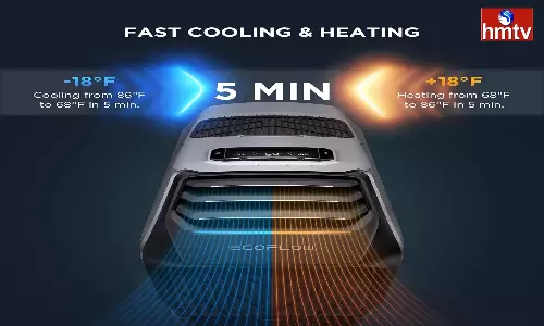 EF ECOFLOW Wave 2 Portable Air Conditioner comes with Heat, Air Portable AC for Outdoor check price and features