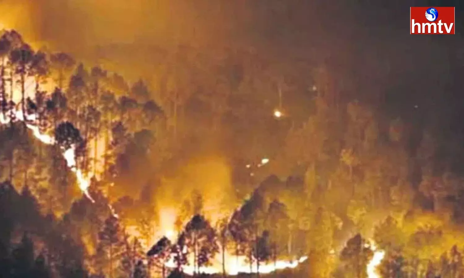 Fire Breaks Out at Nallamala Forest
