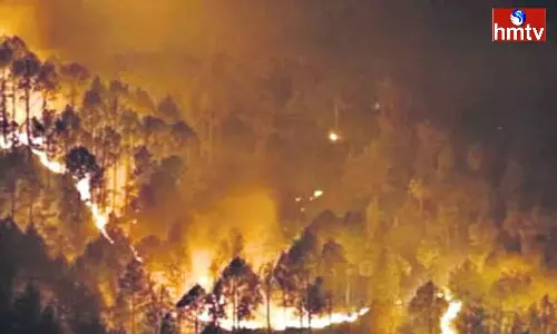 Fire Breaks Out at Nallamala Forest